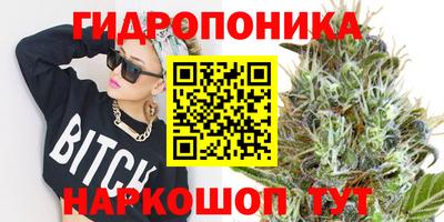 наркотики Берёзовский