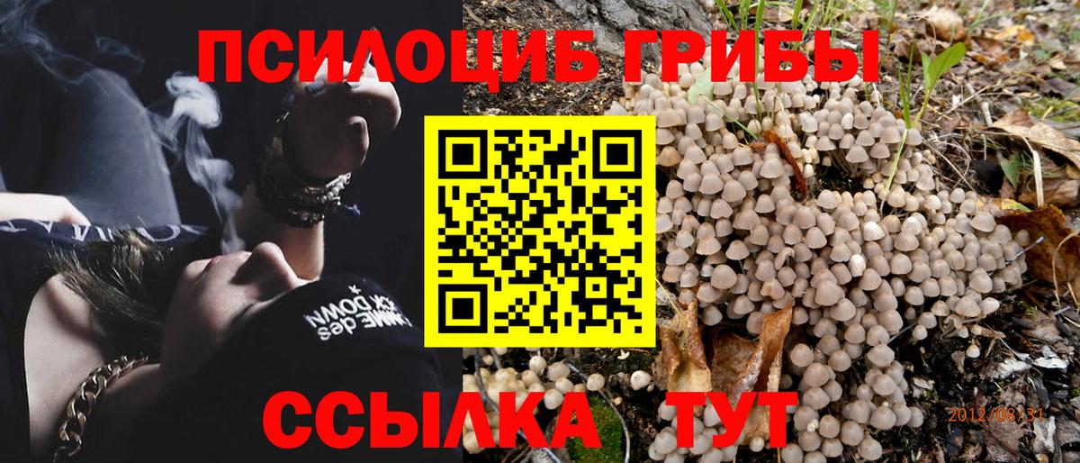 Псилоцибиновые грибы мицелий Избербаш