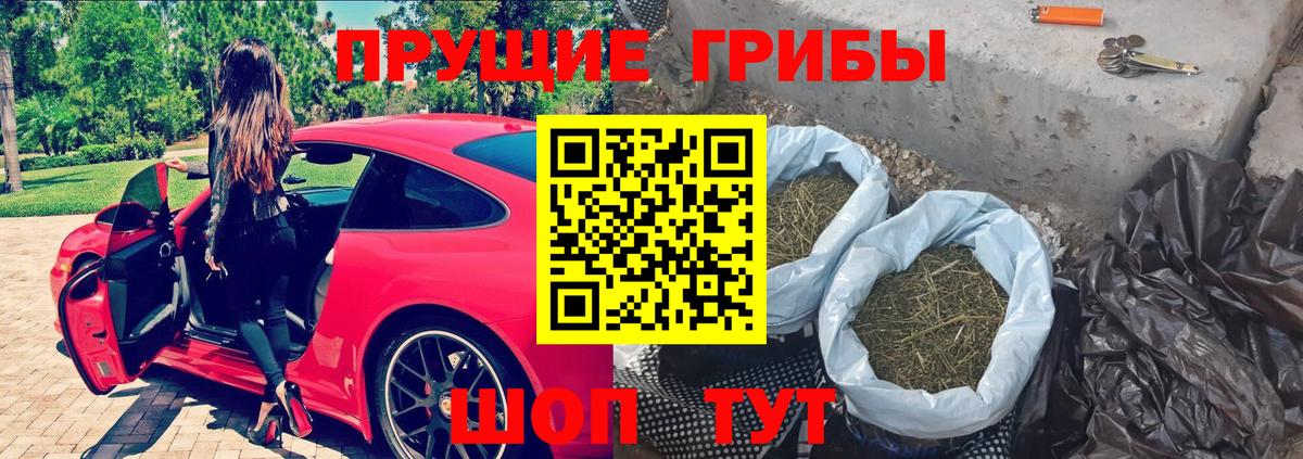 Избербаш  Псилоцибиновые грибы Psilocybine cubensis  Вход с VPN 